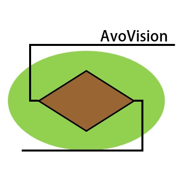 AvoVision