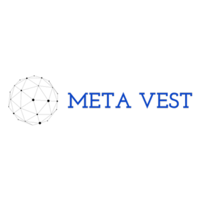 Meta Vest